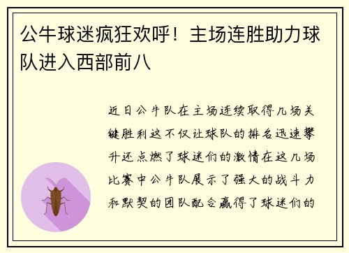 公牛球迷疯狂欢呼!主场连胜助力球队进入西部前八